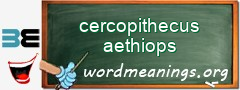 WordMeaning blackboard for cercopithecus aethiops